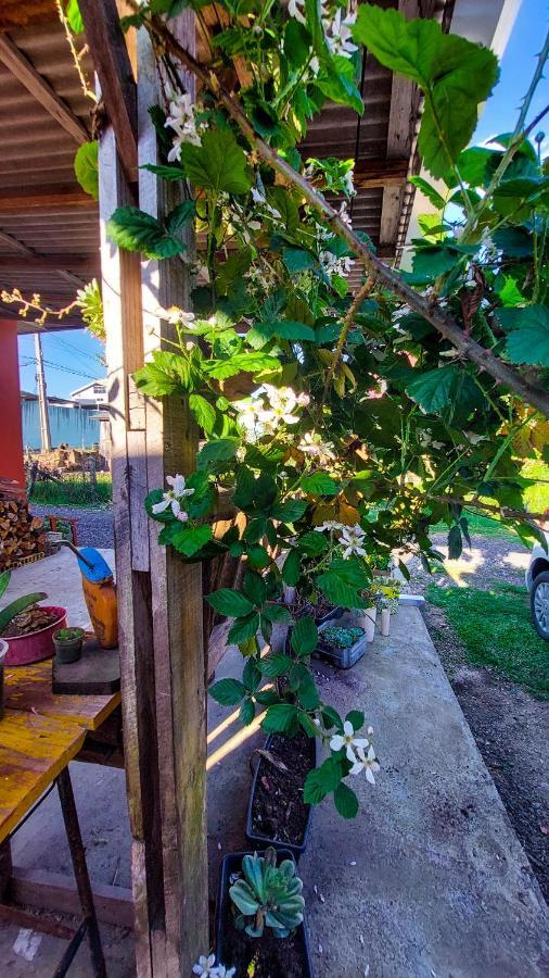 Hostel Cape Town - Камбара Экстерьер фото